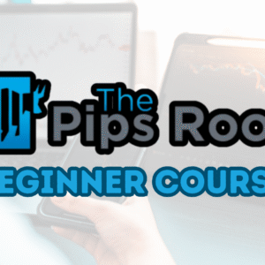 The Pips Room: Beginner Forex Course.