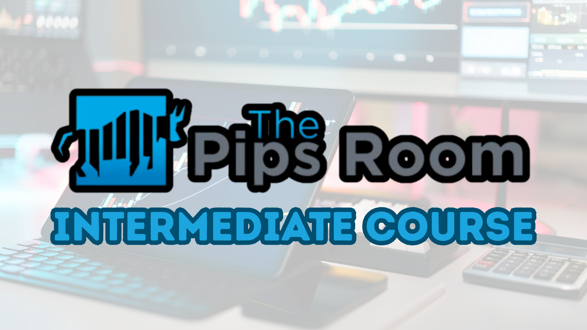 Intermediate Course Bundle
