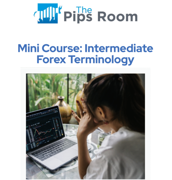 Intermediate Forex Terminology: Mini Course