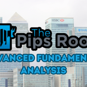 Advanced Fundamental Analysis