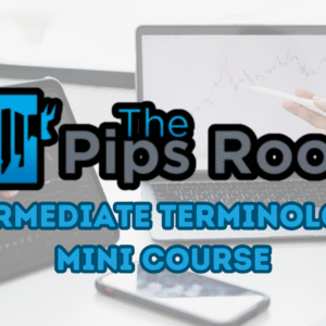 Intermediate Forex Terminology: Mini Course