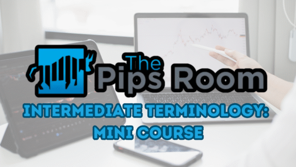 Intermediate Forex Terminology: Mini Course